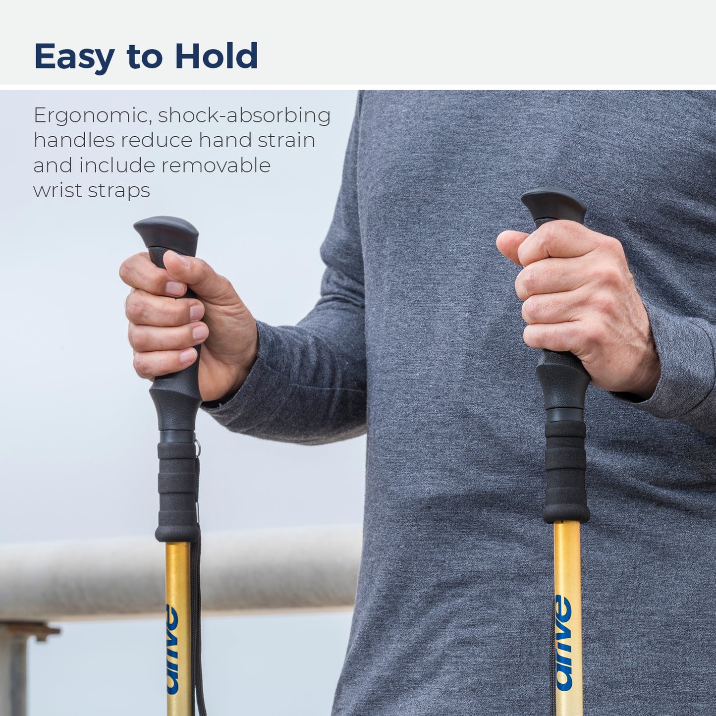 Drive Summit™ Walking Poles