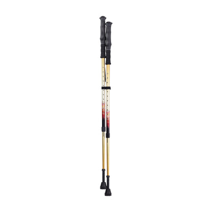 Drive Summit™ Walking Poles